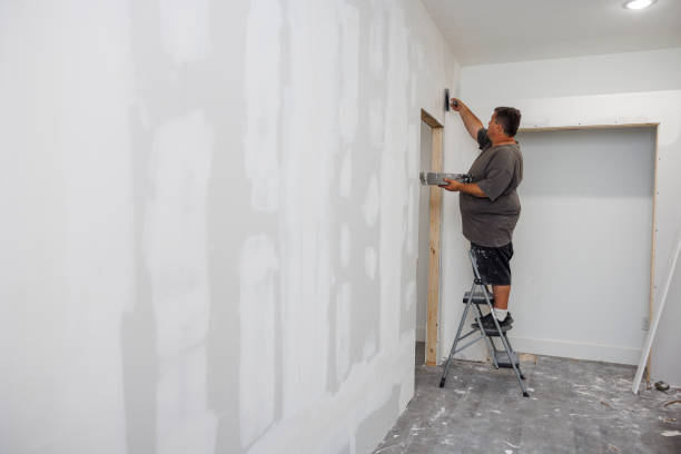 Best Mold Removal for HVAC Installations  in Plandome, NY