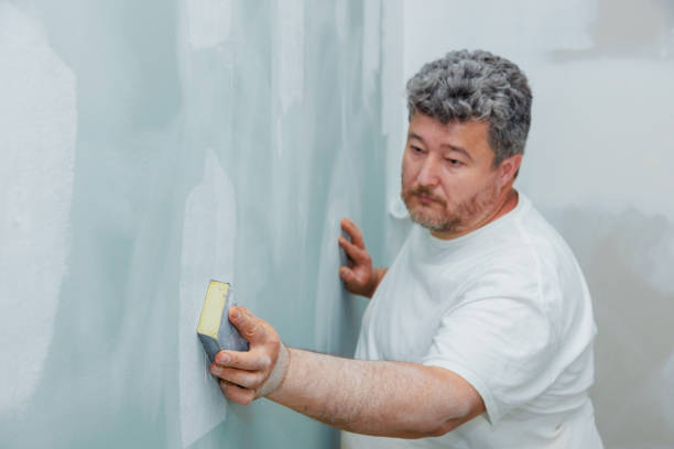 Best Basement Mold Removal  in Plandome, NY