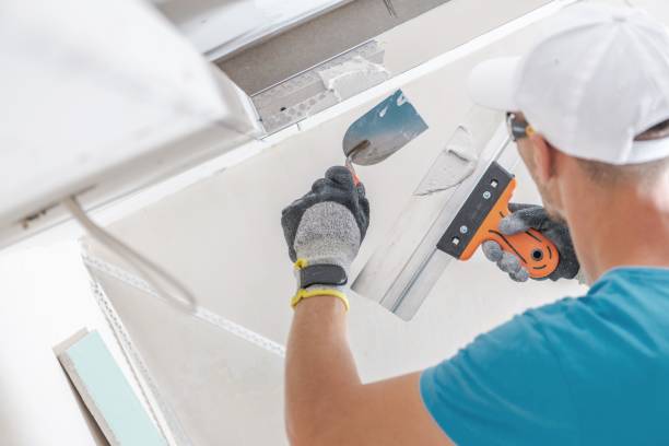 Mold Documentation for Insurance Claims in Plandome, NY